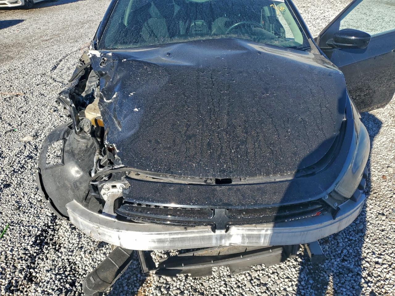 2013 Dodge Dart Sxt VIN: 1C3CDFBA9DD300388 Lot: 94381295