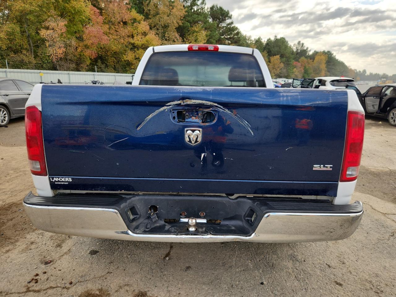 2002 Dodge Ram 1500 VIN: 1D7HA16N42J126888 Lot: 91861305