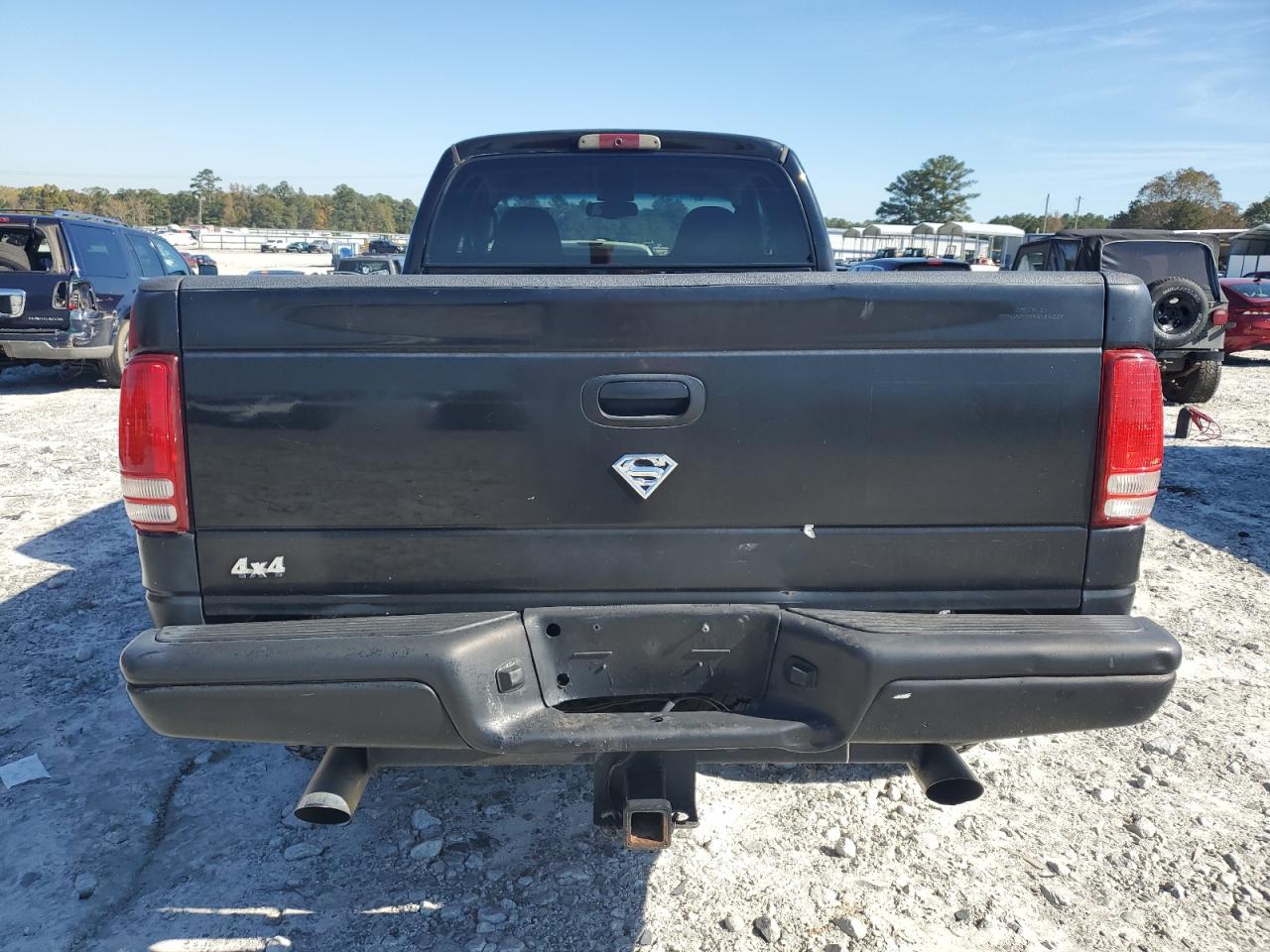 2000 Dodge Dakota VIN: 1B7GG22N3YS710427 Lot: 91010195