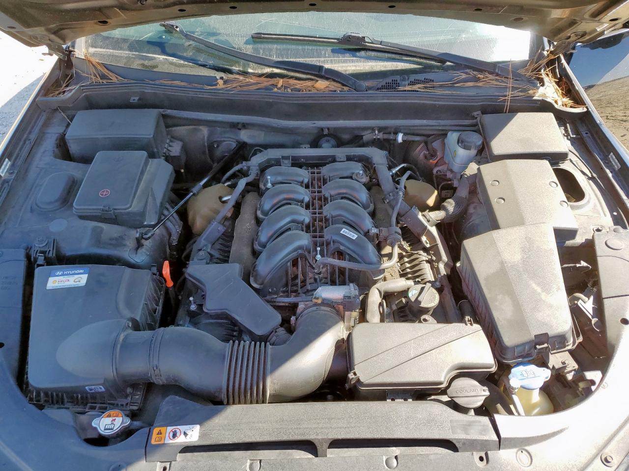 2014 Hyundai Genesis 5.0L VIN: KMHGC4DH1EU265647 Lot: 90600915