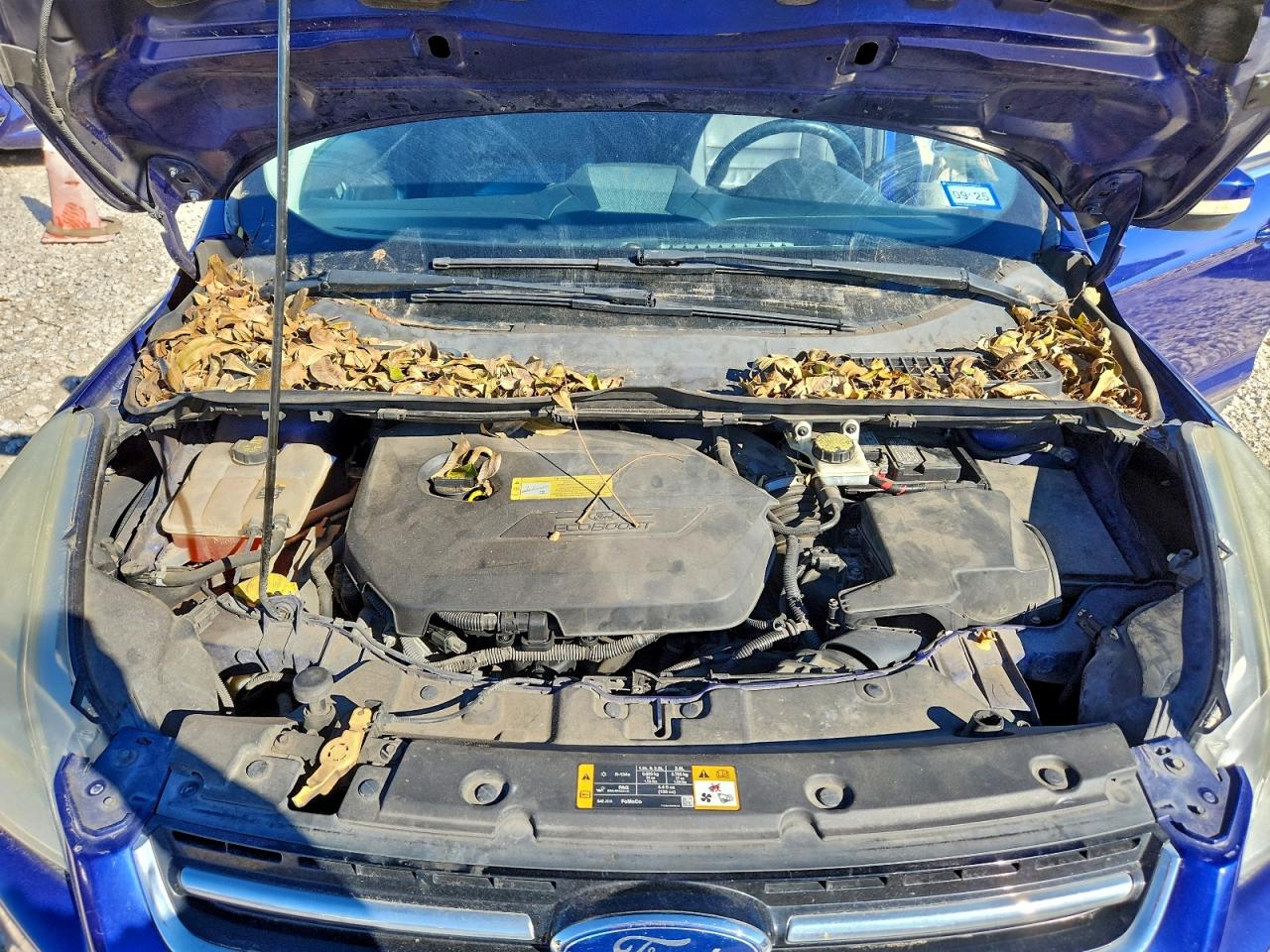 2013 Ford Escape Sel VIN: 1FMCU9HX9DUB30599 Lot: 94511065