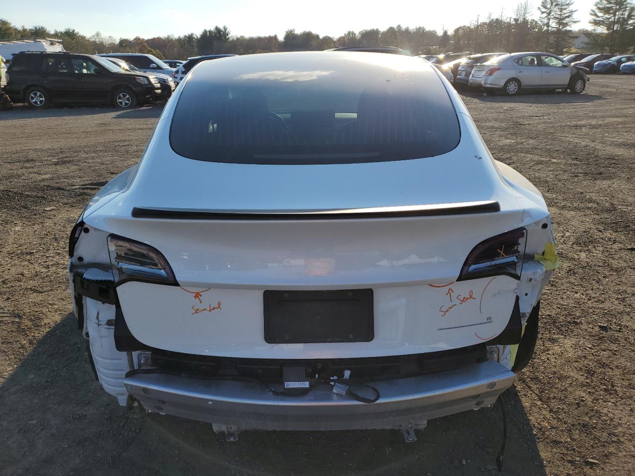 2020 Tesla Model 3 VIN: 5YJ3E1EC1LF586981 Lot: 89664495