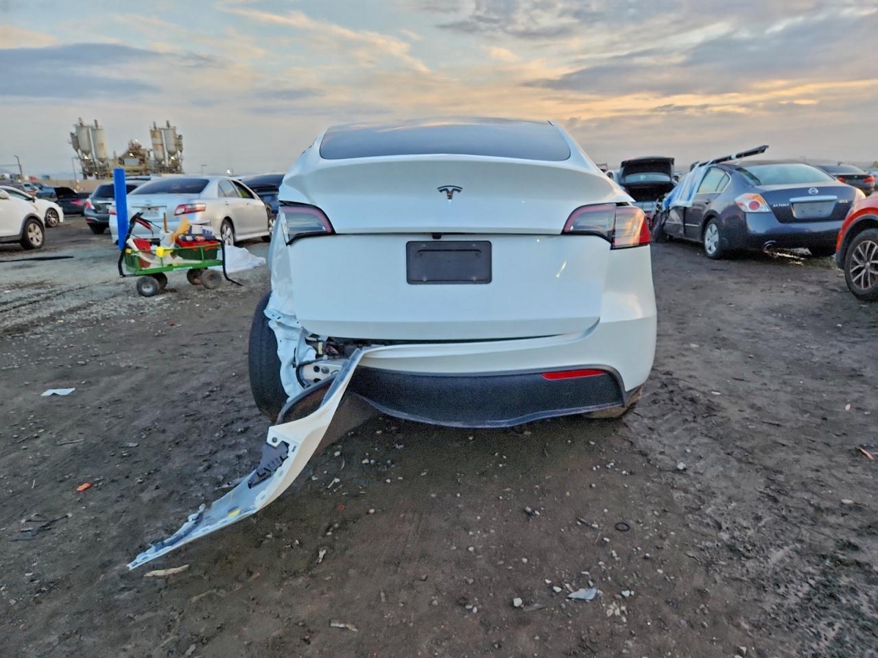 2024 Tesla Model Y VIN: 7SAYGDED9RF116591 Lot: 93519265