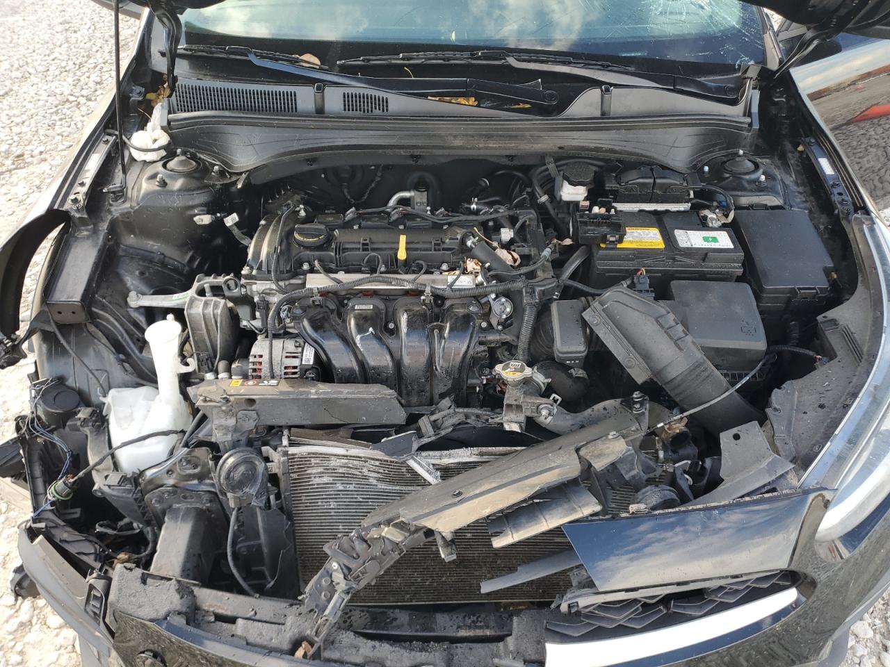 2021 Kia Forte Fe VIN: 3KPF24AD1ME275998 Lot: 91252555