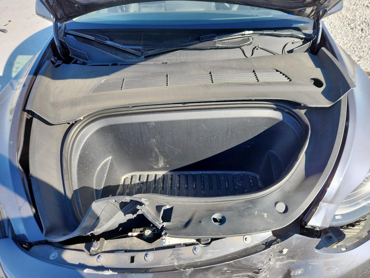 2023 Tesla Model Y VIN: 7SAYGDEE0PF887351 Lot: 94548345