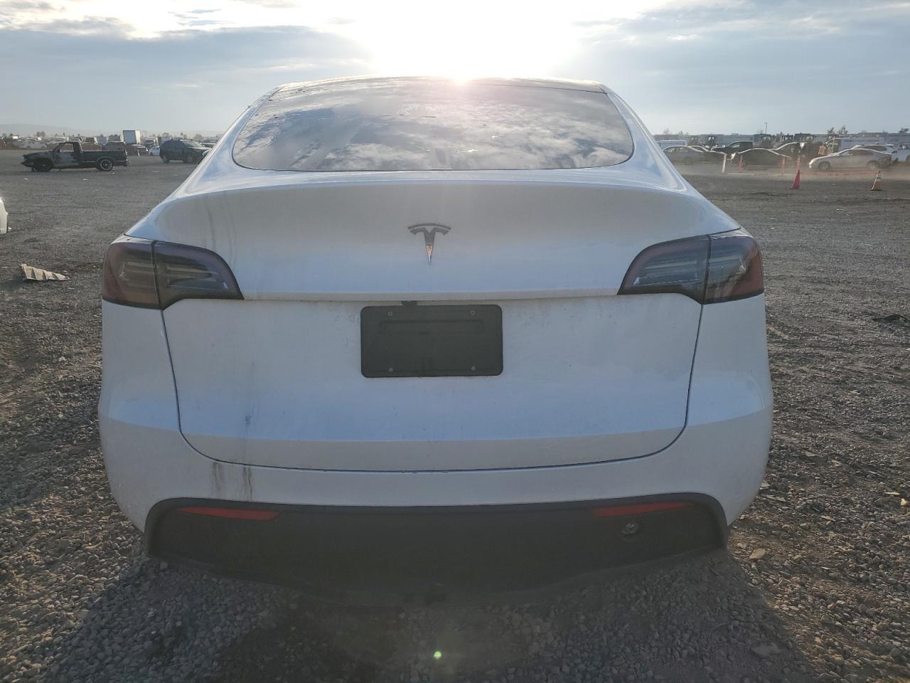 2025 Tesla Model Y VIN: 7SAYGDED3SF265620 Lot: 91872285