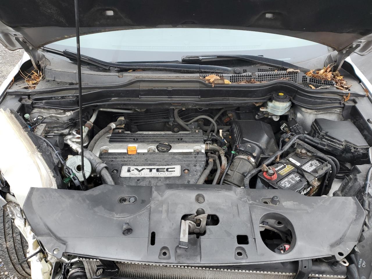 2007 Honda Cr-V Exl VIN: JHLRE48737C059282 Lot: 93568315