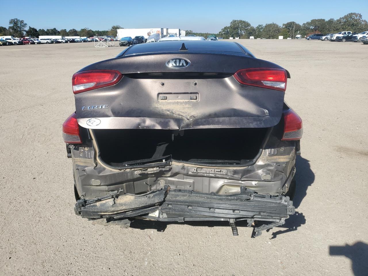 2017 Kia Forte Lx VIN: 3KPFK4A75HE049544 Lot: 91819285