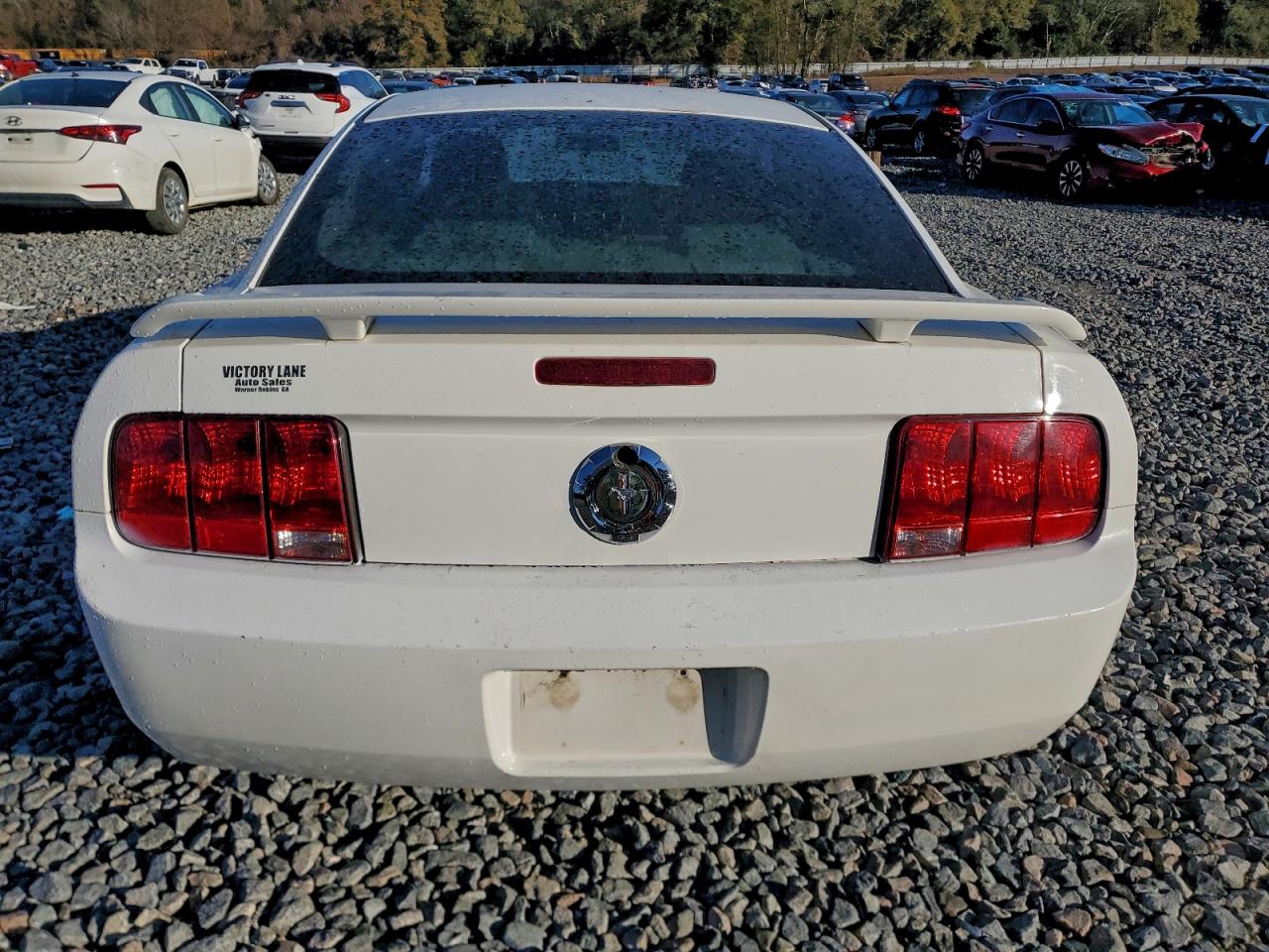 2006 Ford Mustang VIN: 1ZVFT80N065210103 Lot: 93942455