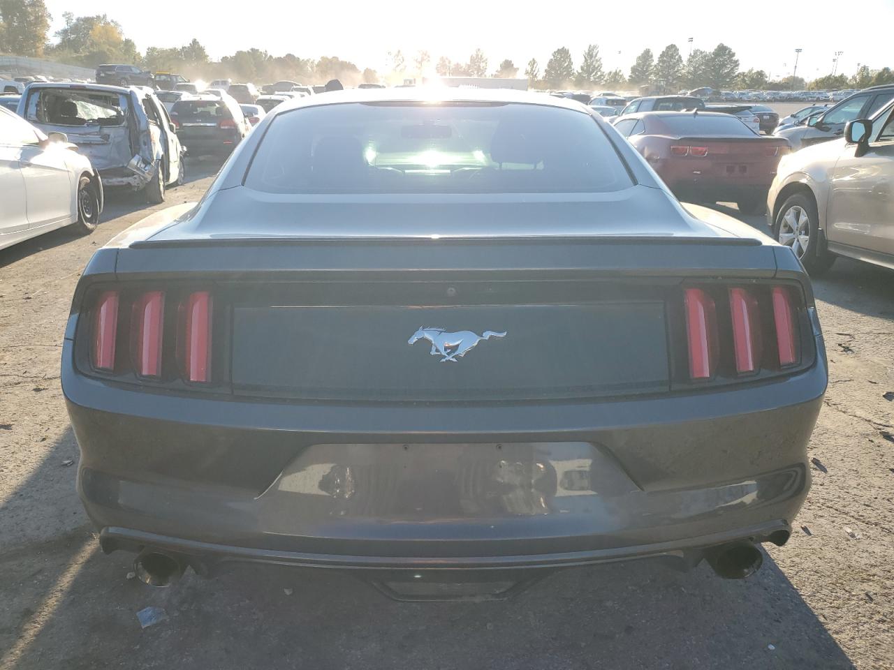 2017 Ford Mustang VIN: 1FA6P8TH4H5235317 Lot: 90900325