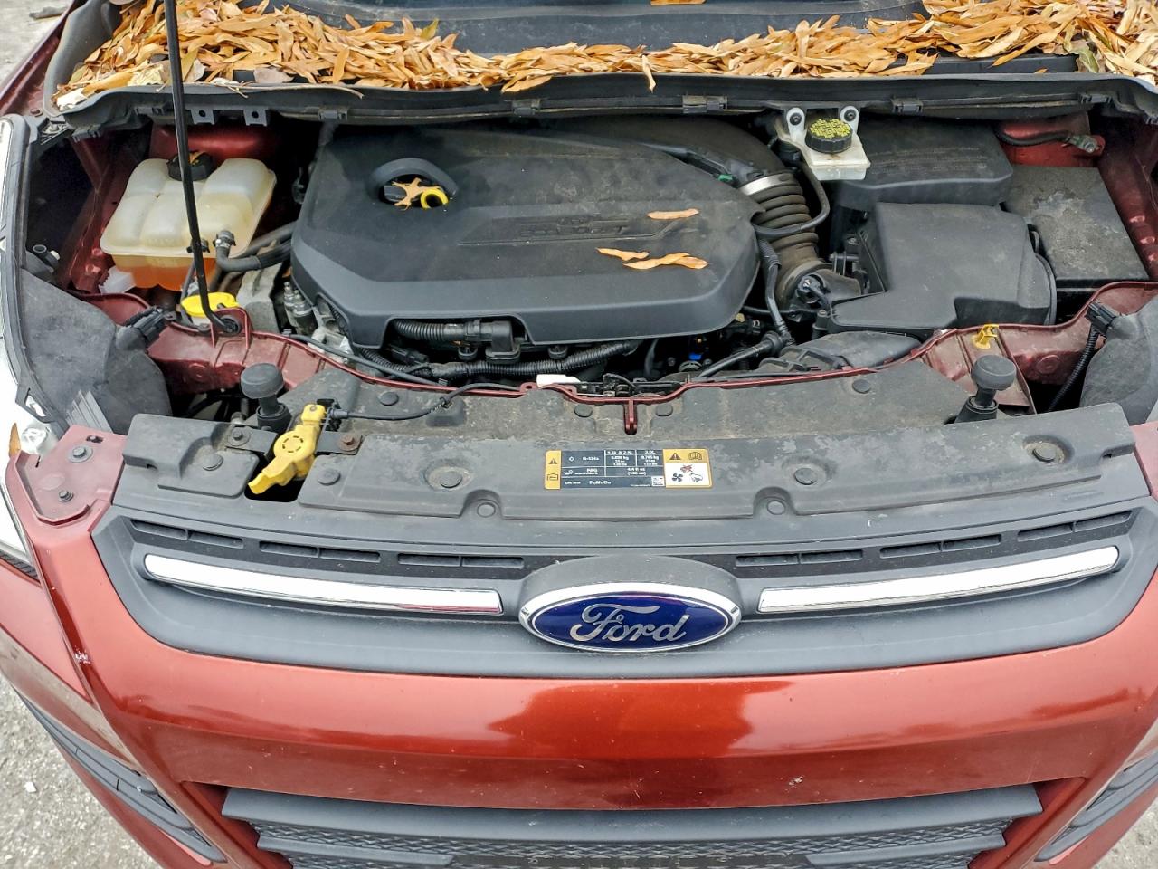 2014 Ford Escape Se VIN: 1FMCU9GX8EUE36437 Lot: 92691155