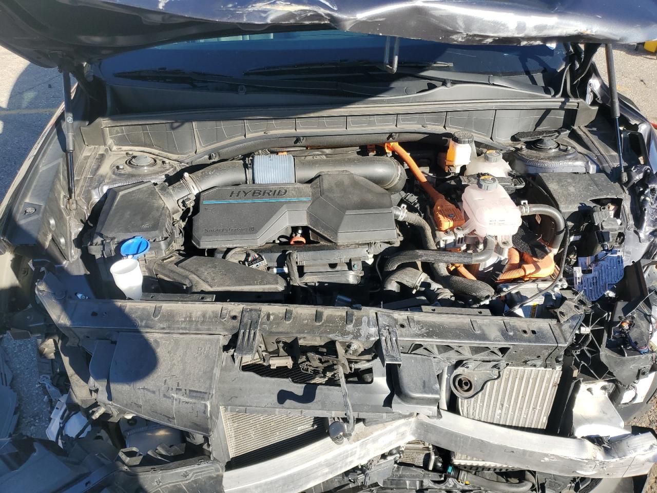 2022 Kia Sorento Ex VIN: KNDRH4LG2N5116570 Lot: 90859565