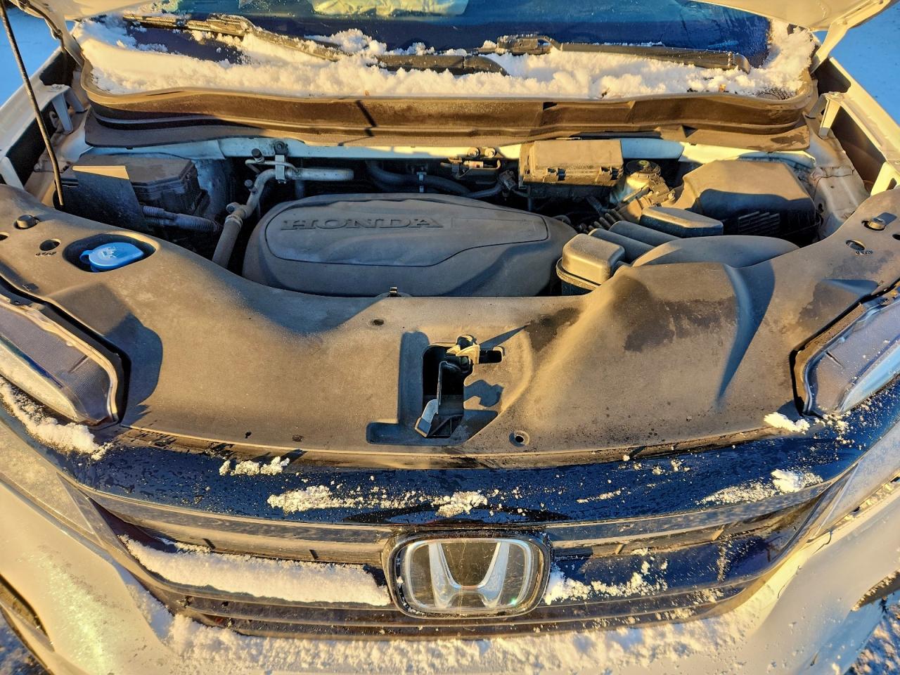 2021 Honda Pilot Elite VIN: 5FNYF6H06MB503936 Lot: 92138095