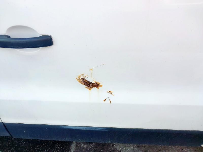 2017 RENAULT TRAFIC SL27 DCI 120 BUSINESS VAN