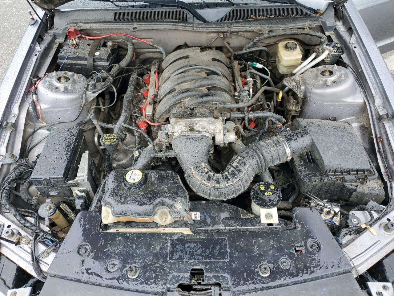 2006 Ford Mustang Gt VIN: 1ZVHT82H765132368 Lot: 92729485