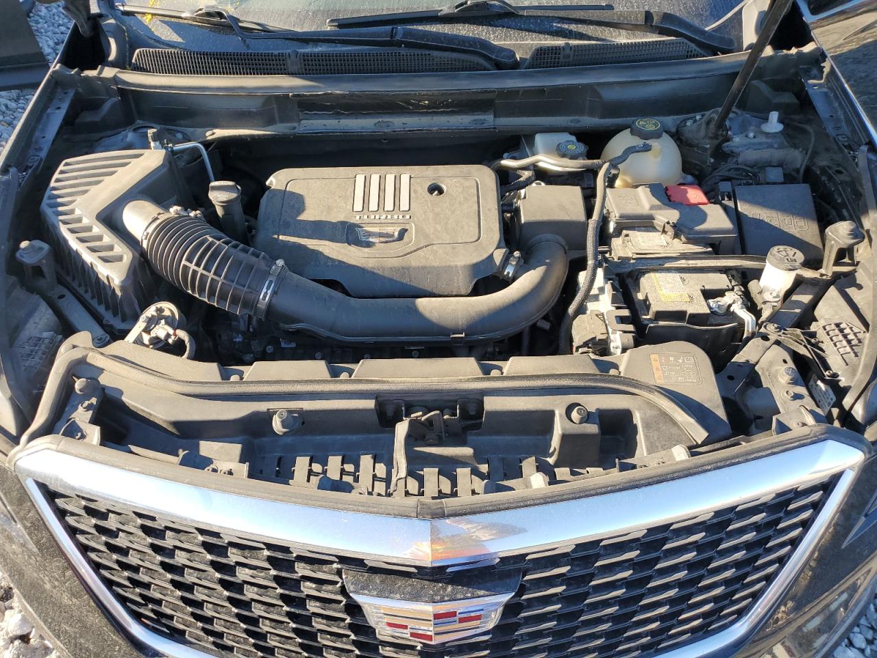 2023 Cadillac Xt5 Premium Luxury VIN: 1GYKNDR41PZ190768 Lot: 90737855