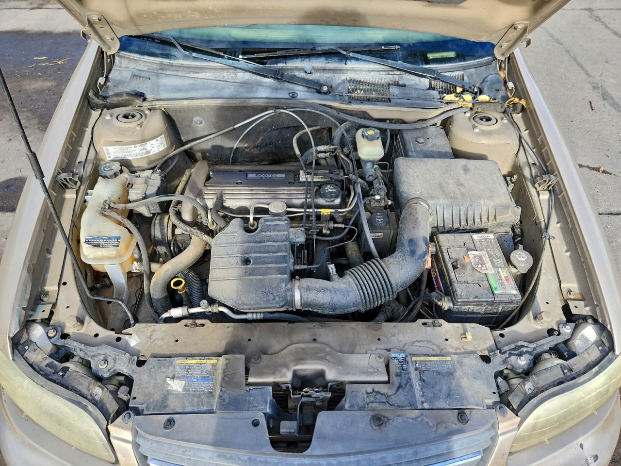 2004 Chevrolet Classic VIN: 1G1ND52F54M607141 Lot: 93737765