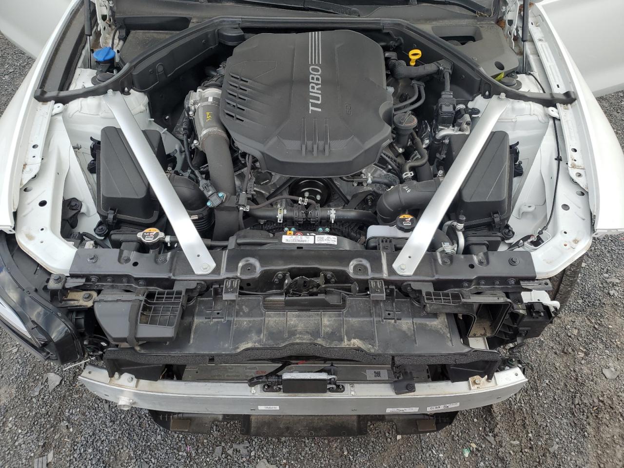 2025 Genesis G70 Sport Advanced VIN: KMTG54SE4SU158256 Lot: 91219975