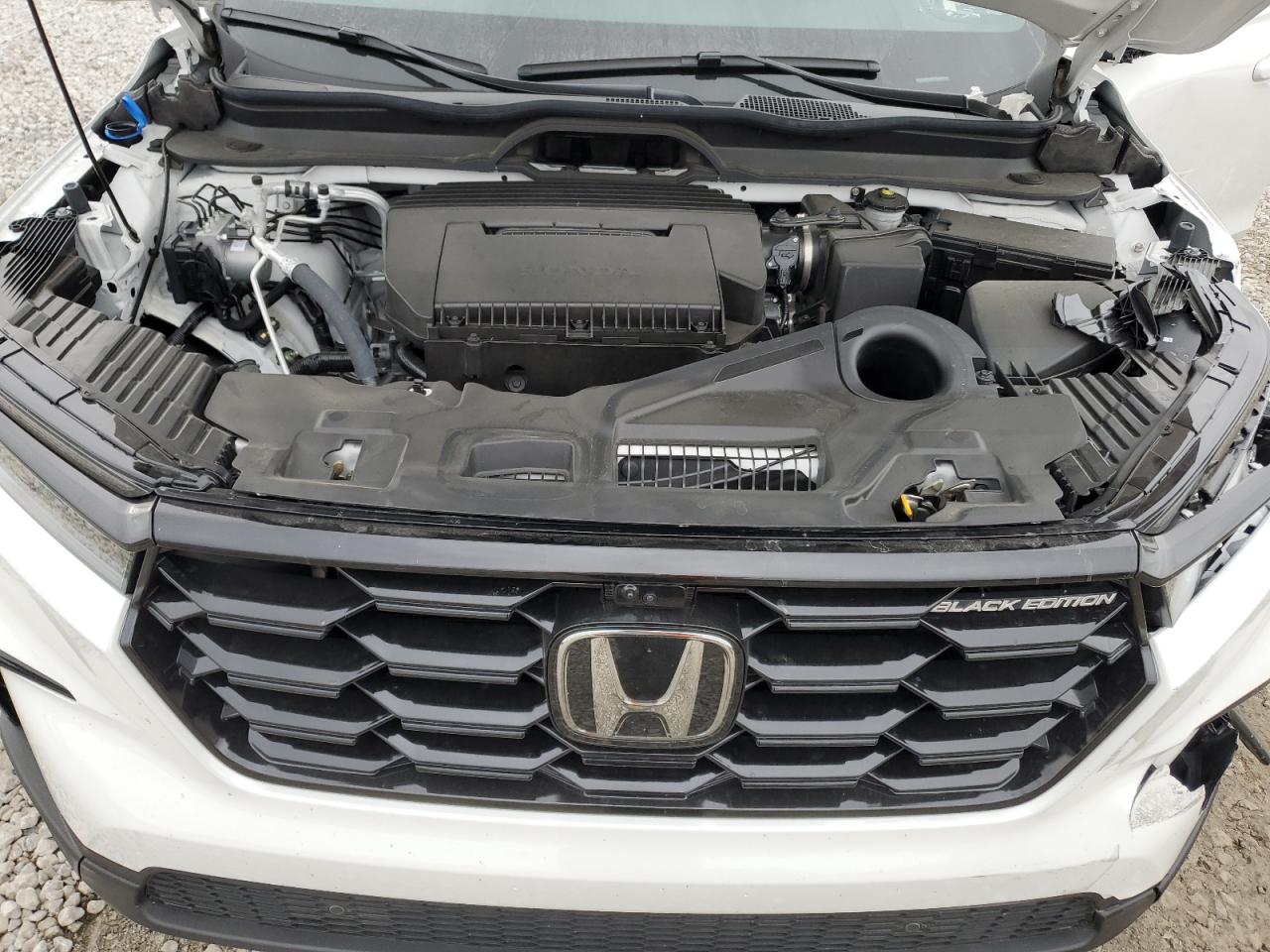 2025 Honda Pilot Black VIN: 5FNYG1H91SB135161 Lot: 93010605