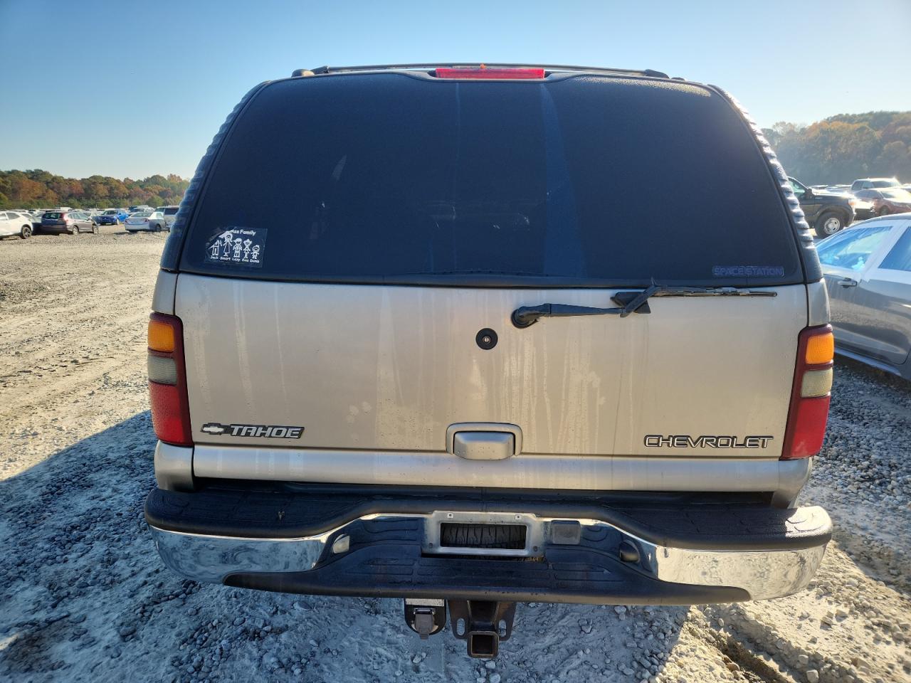 2001 Chevrolet Tahoe C1500 VIN: 1GNEC13T51R215919 Lot: 91739185