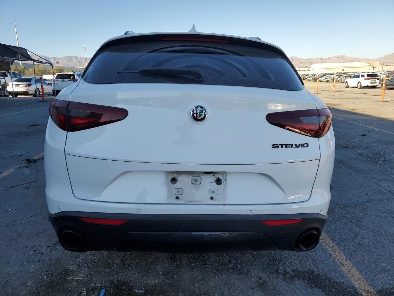 2020 Alfa Romeo Stelvio VIN: ZASPAJAN4L7C95196 Lot: 91426155
