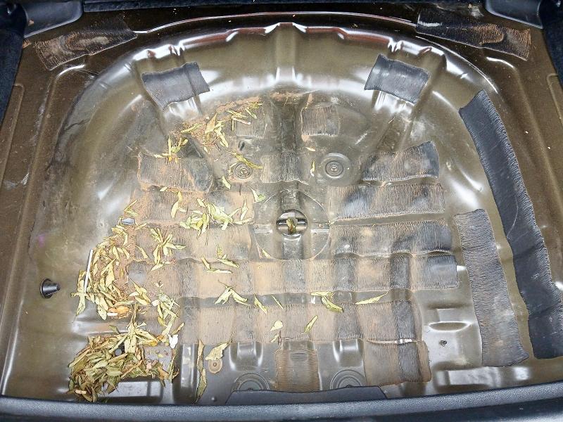 2024 AUDI A3 30 TFSI S LINE 5DR S TRONIC