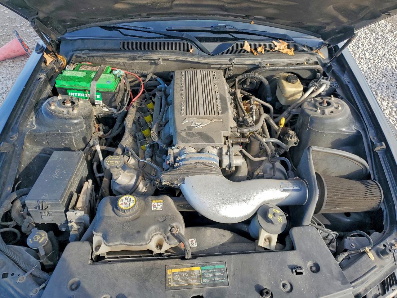 2008 Ford Mustang Gt VIN: 1ZVHT82H085114670 Lot: 94075905