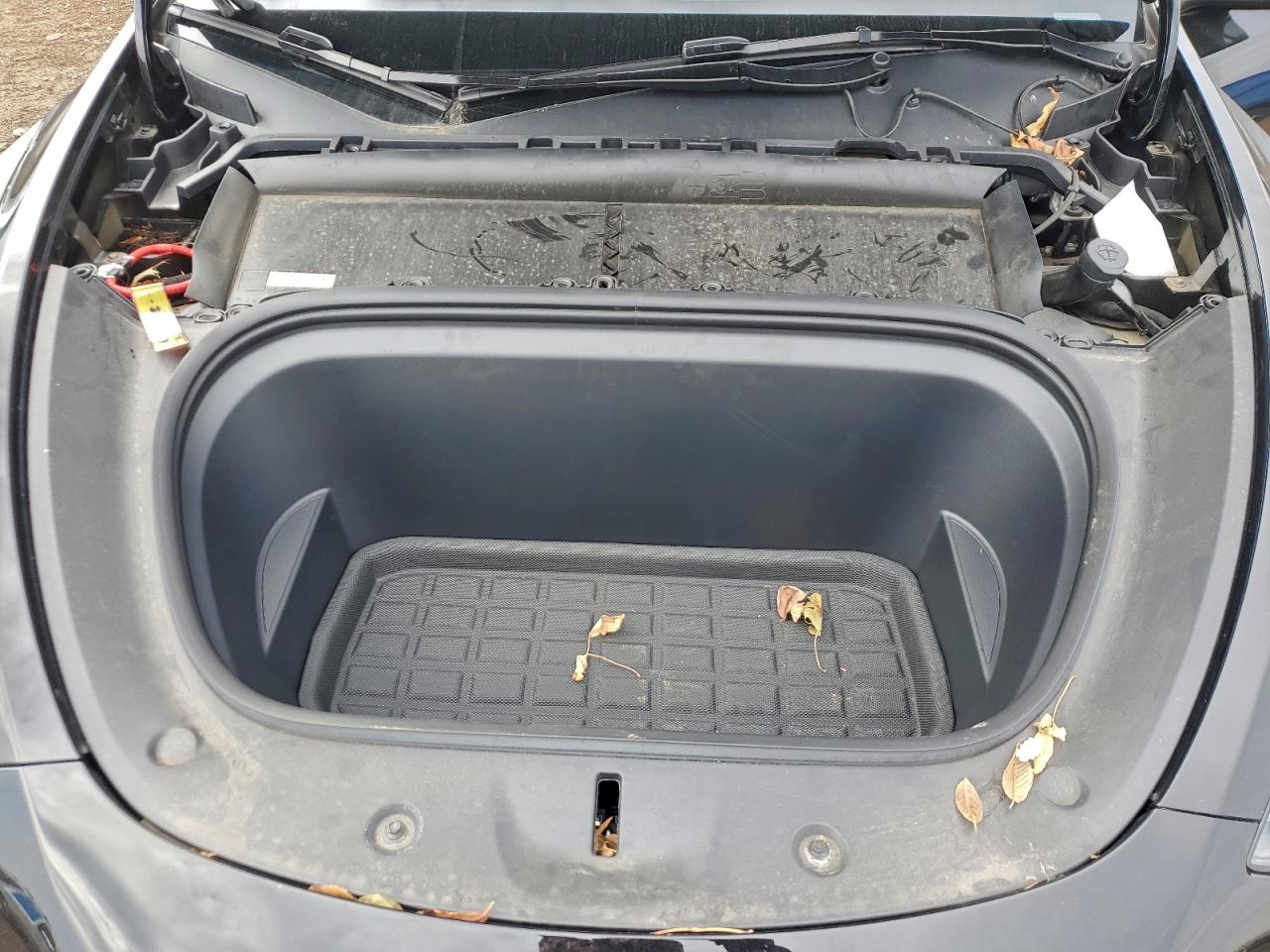 2024 Tesla Model Y VIN: 7SAYGDEE8RF984770 Lot: 93778565