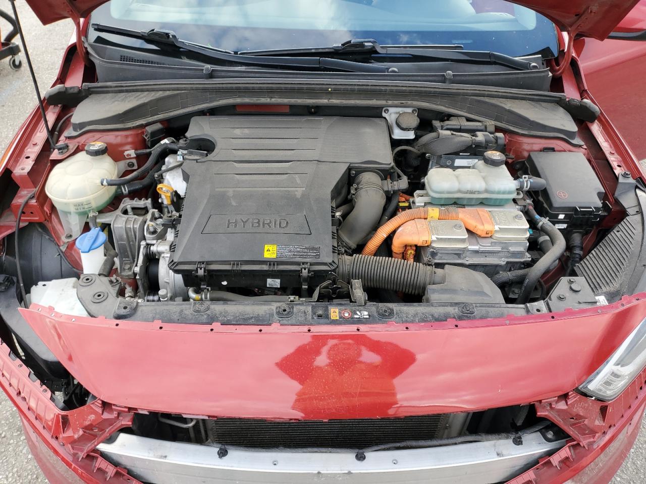 2019 Hyundai Ioniq Blue VIN: KMHC65LC9KU167558 Lot: 93434965