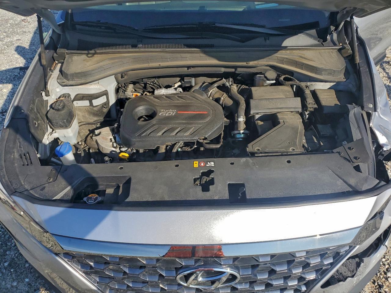 2020 Hyundai Santa Fe Limited VIN: 5NMS53AA5LH292185 Lot: 94130325