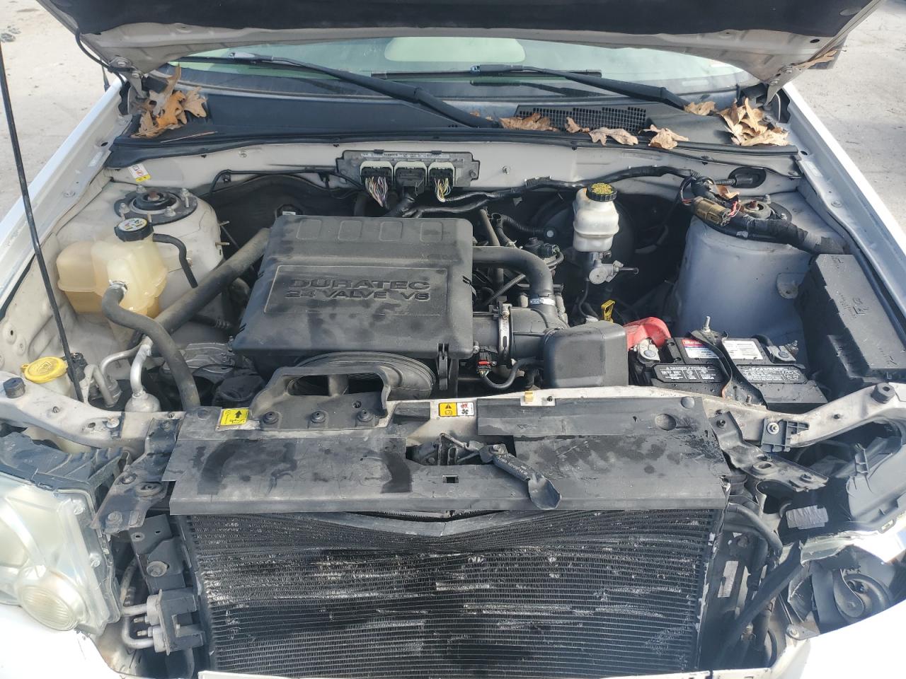 2009 Ford Escape Xlt VIN: 1FMCU03GX9KA44272 Lot: 85434875