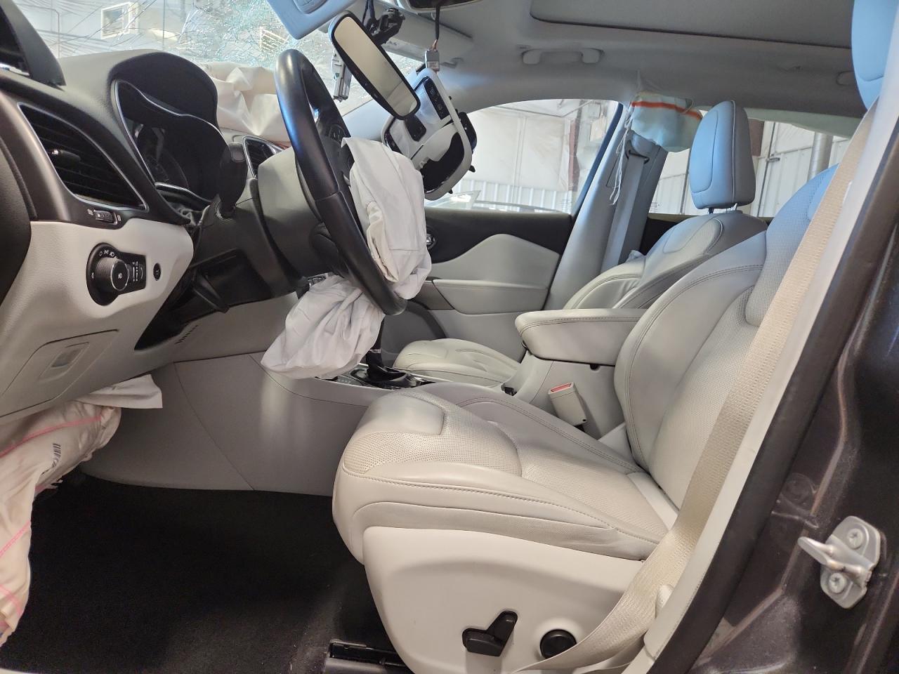 2019 Jeep Cherokee Limited VIN: 1C4PJMDN5KD356531 Lot: 92411265