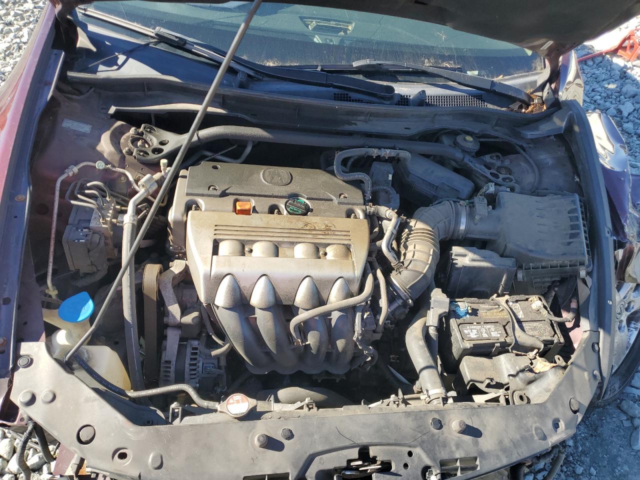 2010 Acura Tsx VIN: JH4CU2F66AC021037 Lot: 90859435