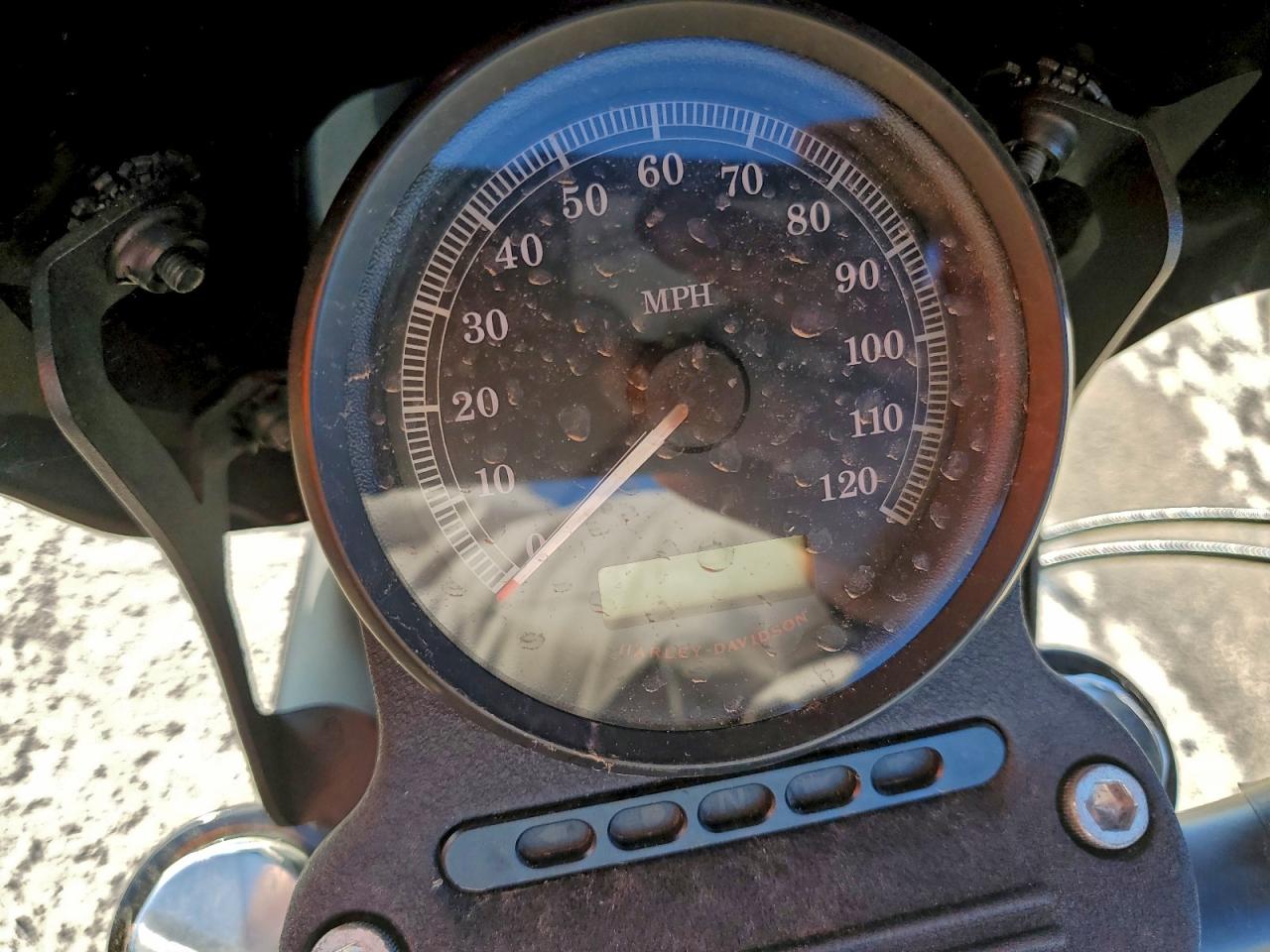 2013 Harley-Davidson Xl883 Iron 883 VIN: 1HD4LE217DC441851 Lot: 93986135