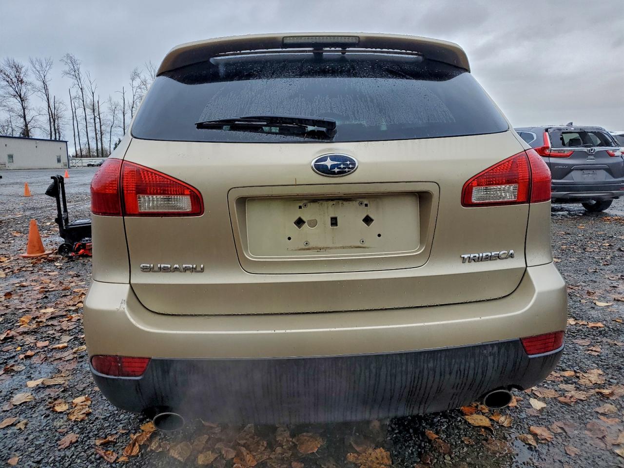 2009 Subaru Tribeca Limited VIN: 4S4WX97D694406384 Lot: 93846505