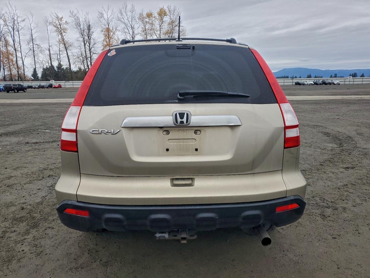 2008 Honda Cr-V Exl VIN: JHLRE487X8C069230 Lot: 93732185