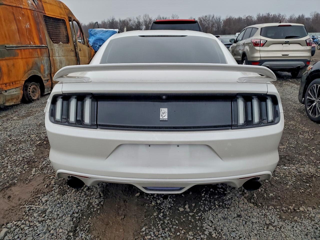 2017 Ford Mustang Gt VIN: 1FA6P8CF6H5319637 Lot: 93883935
