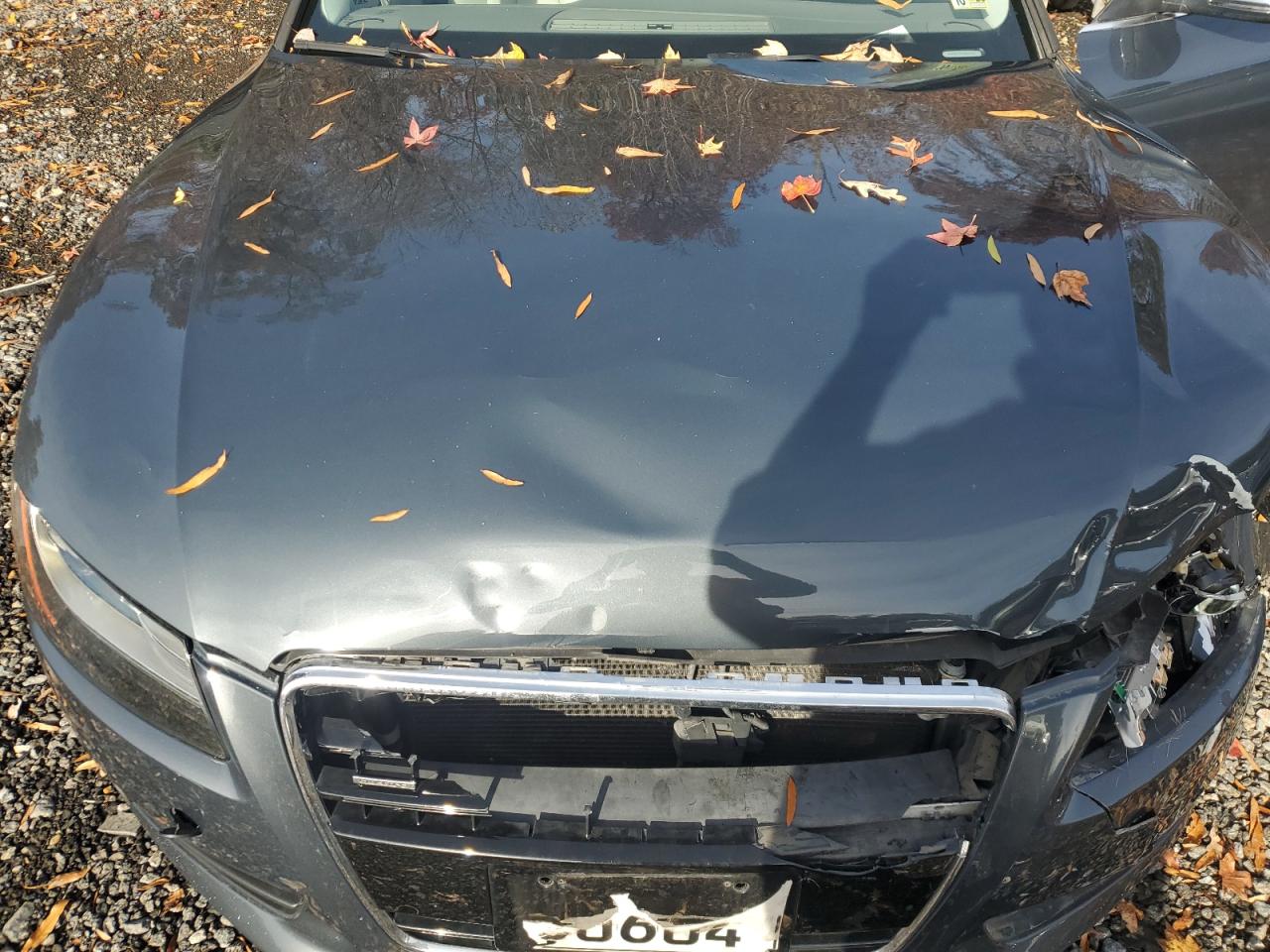 2009 Audi A5 Quattro VIN: WAUDK78TX9A037371 Lot: 91314955