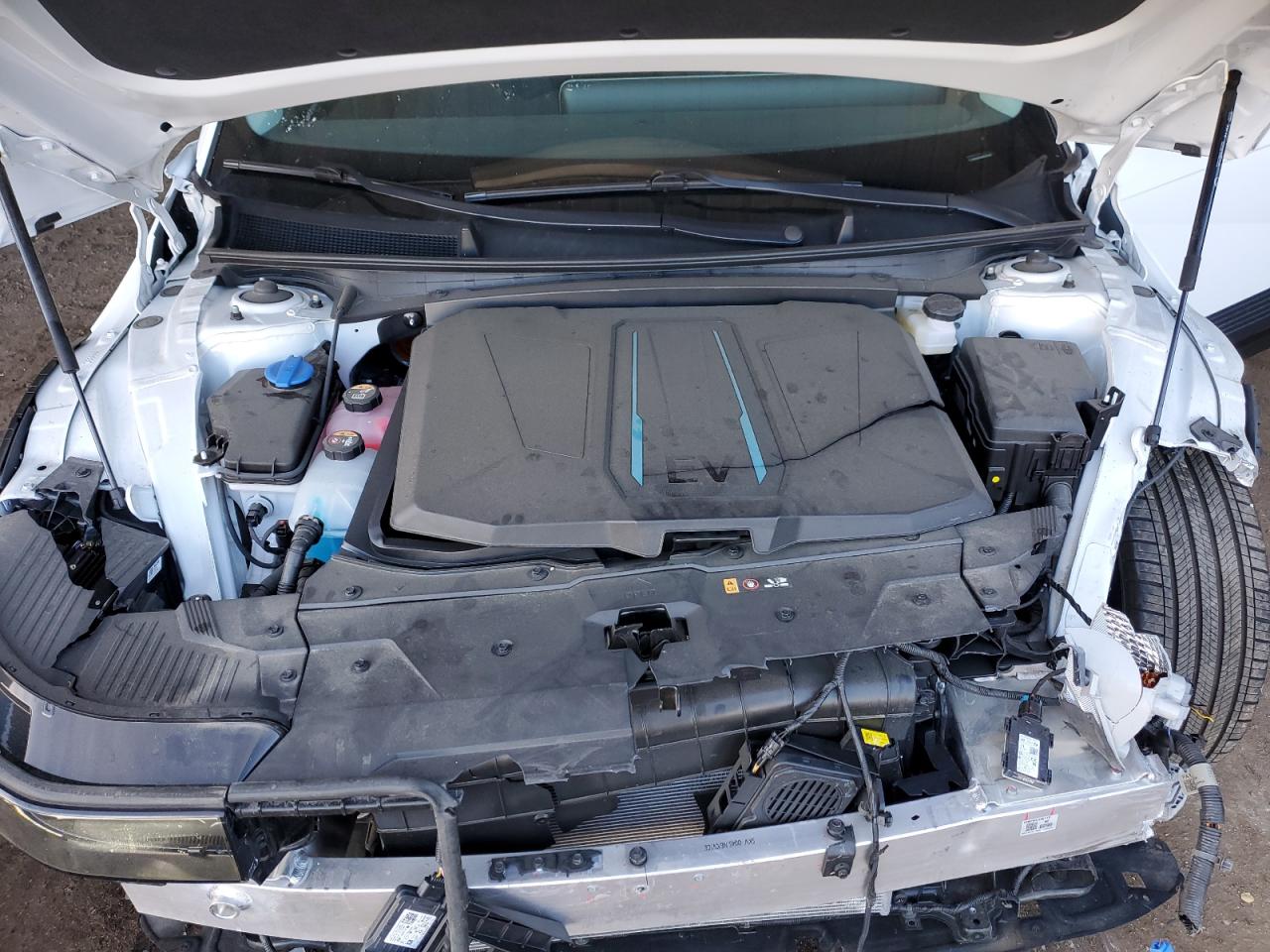 2024 Hyundai Ioniq 5 Sel VIN: KM8KNDDF0RU273151 Lot: 93655605