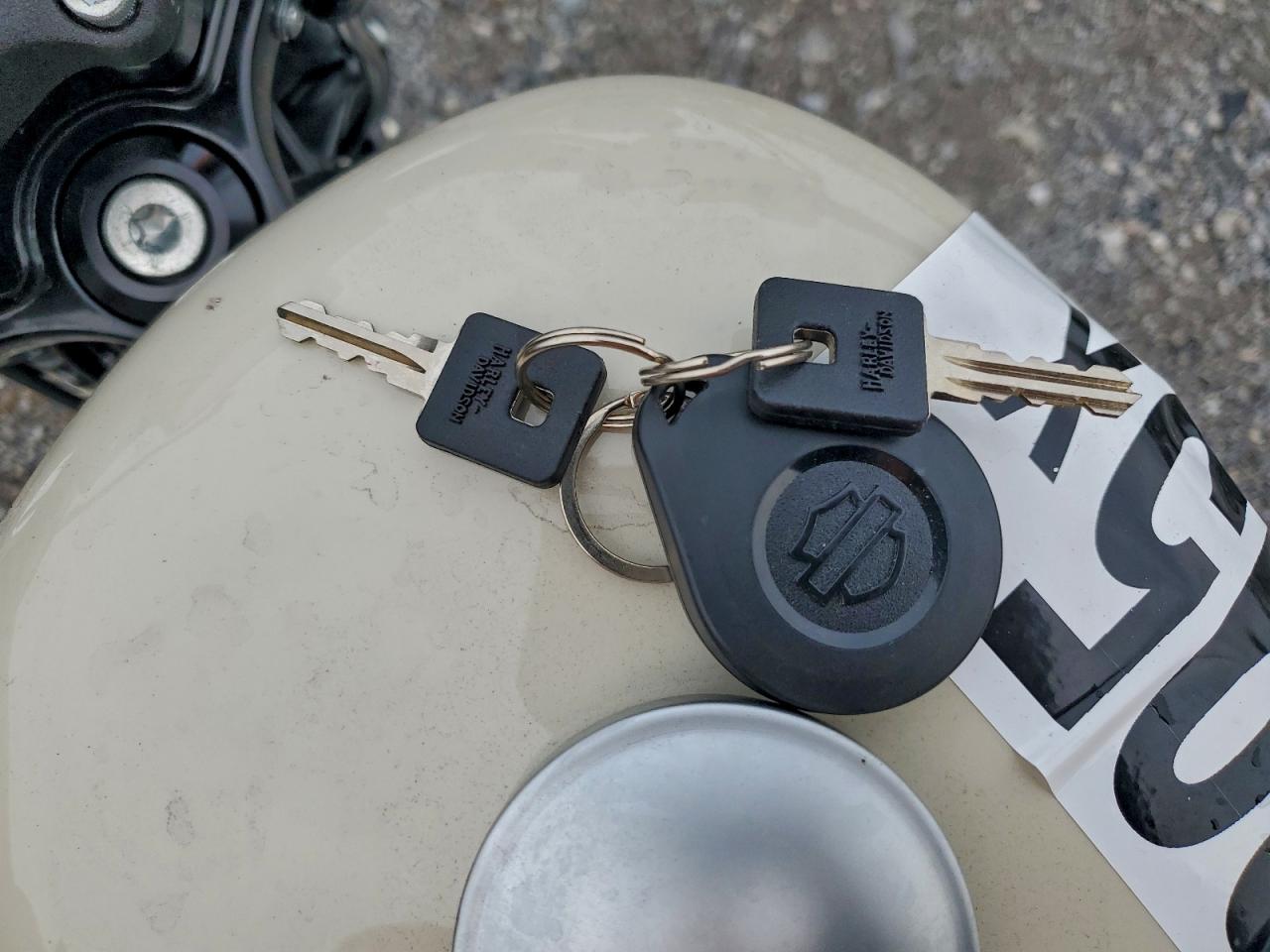 2022 Harley-Davidson Xl883 N VIN: 1HD4LE215NB406376 Lot: 93650395