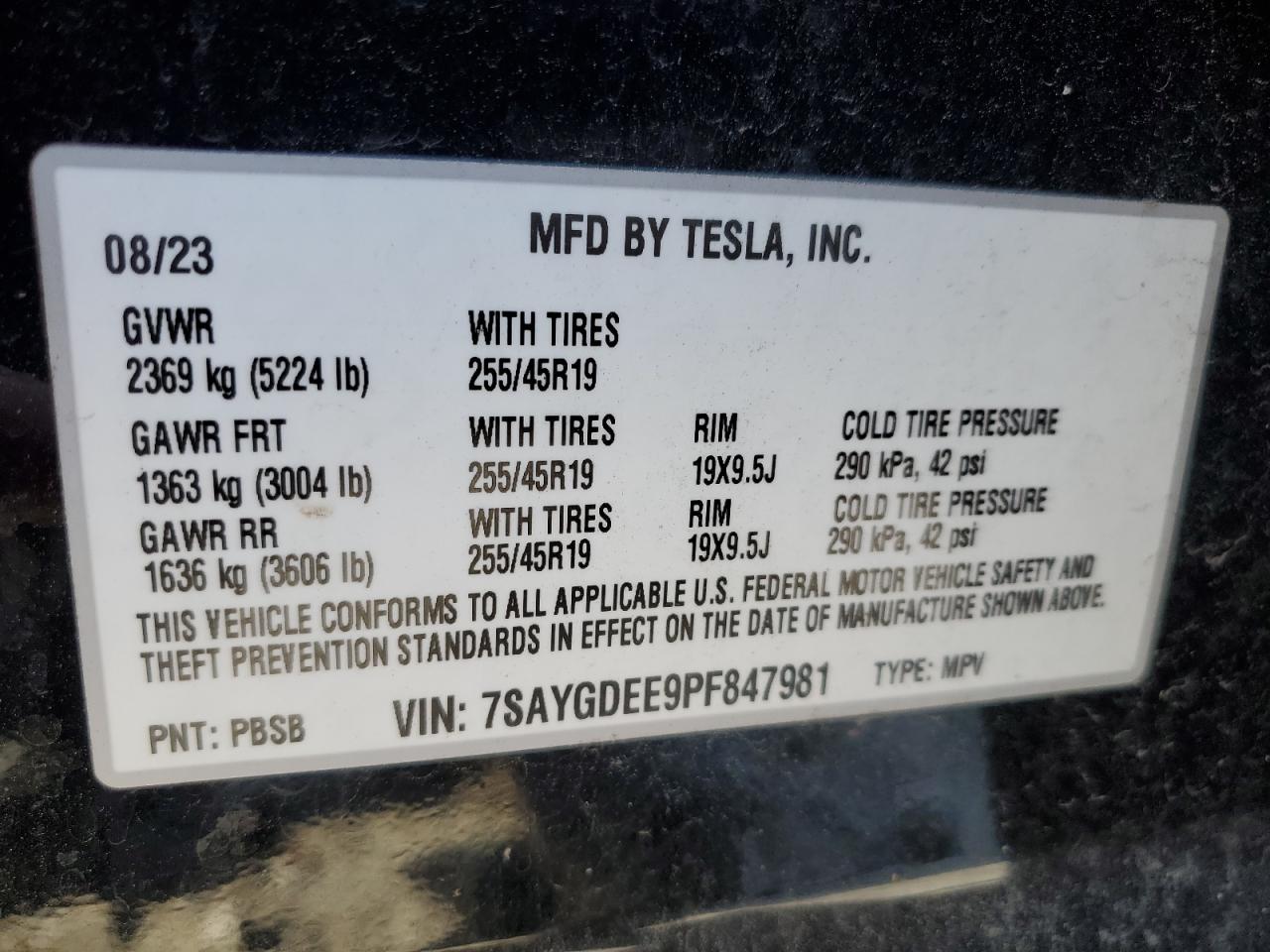 2023 Tesla Model Y VIN: 7SAYGDEE9PF847981 Lot: 92992665