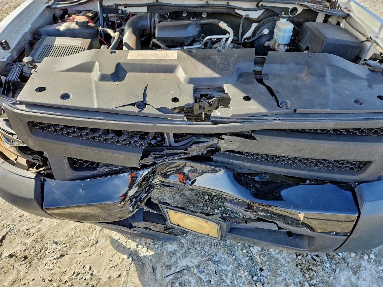 2009 Chevrolet Silverado C1500 VIN: 1GCEC19X79Z233109 Lot: 94506925