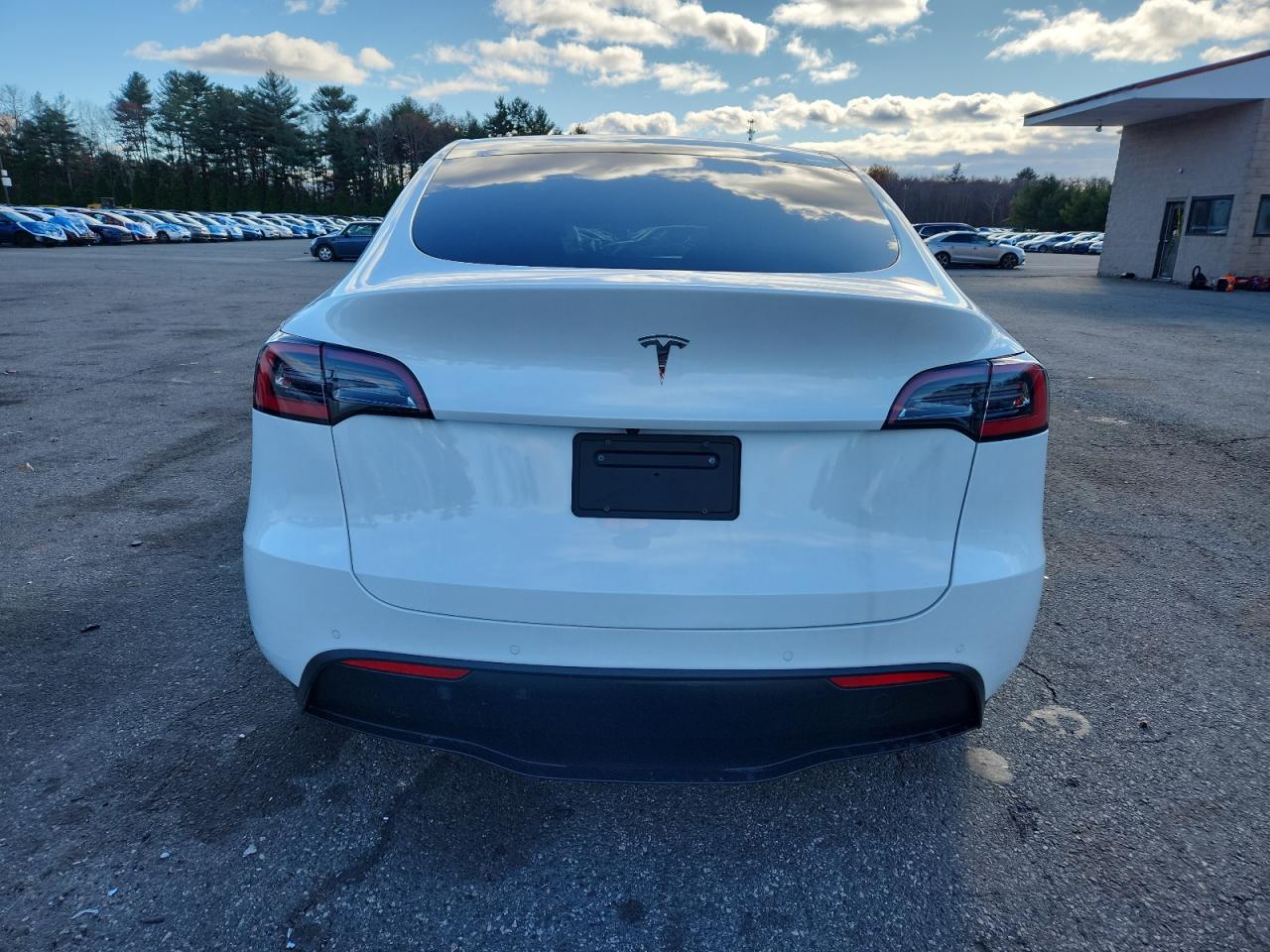 2020 Tesla Model Y VIN: 5YJYGDEE0LF036979 Lot: 93134775