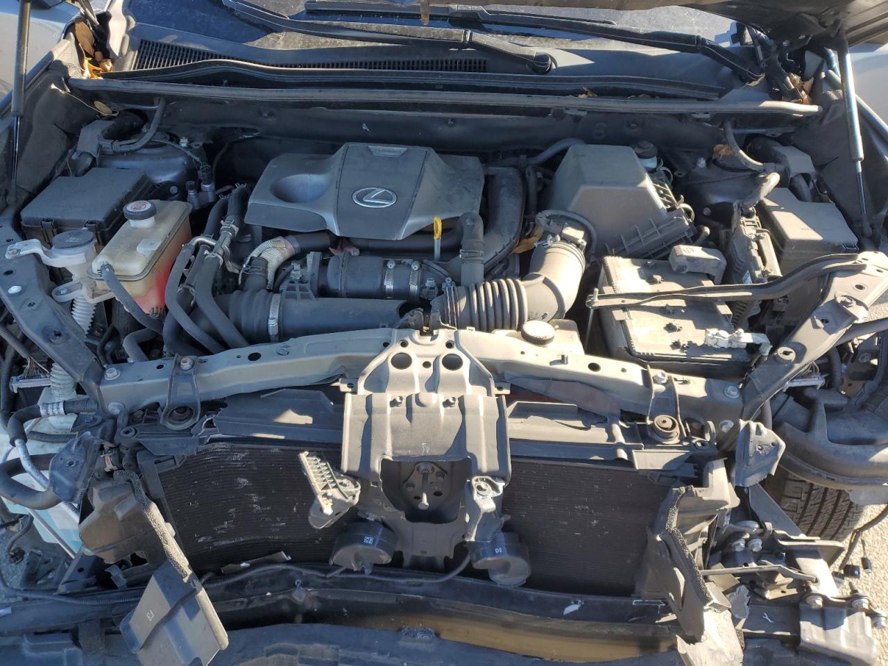 2021 Lexus Nx 300 Base VIN: JTJSARDZXM2254681 Lot: 92454915