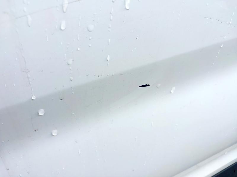 2020 FORD TRANSIT 2.0 ECOBLUE 130PS CHASSIS CAB