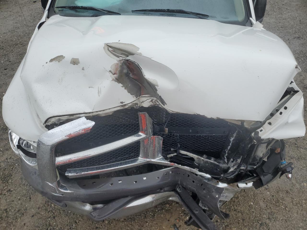 2002 Dodge Ram 1500 VIN: 1D3HA16N42J171346 Lot: 92478385