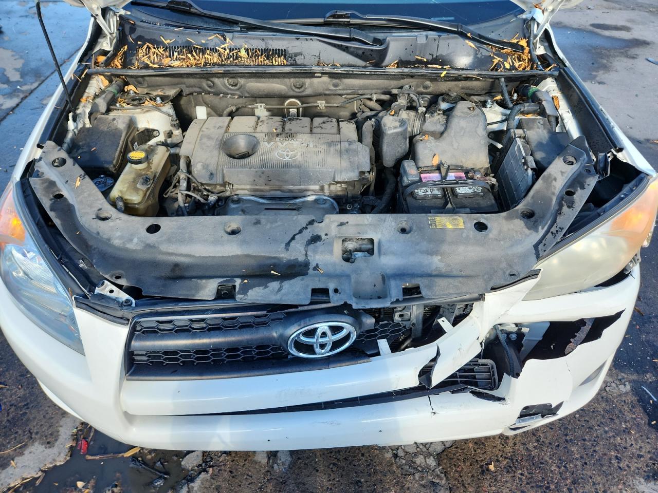 2010 Toyota Rav4 VIN: 2T3ZF4DV3AW023532 Lot: 92843705