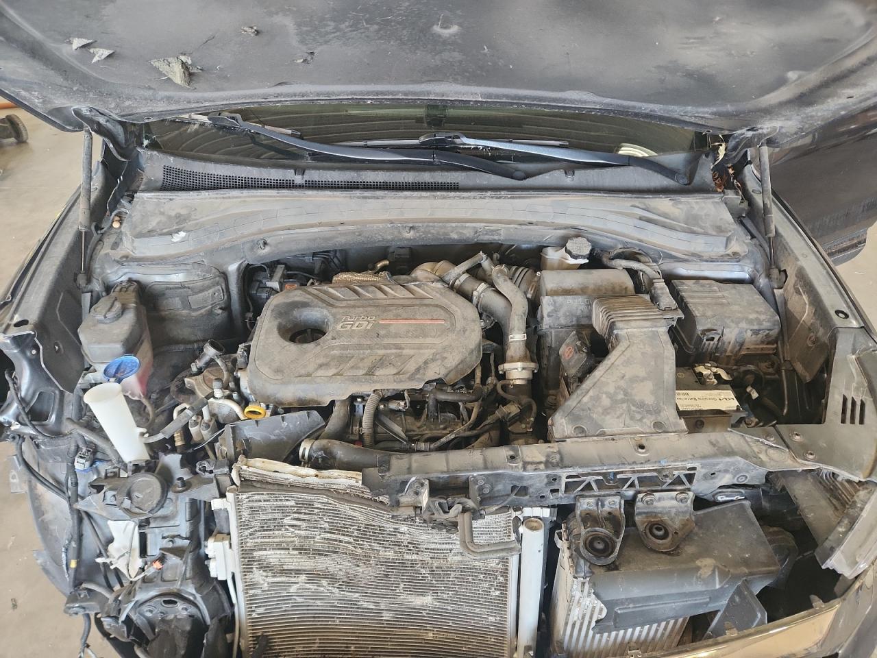 2020 Hyundai Santa Fe Limited VIN: 5NMS53AA7LH297629 Lot: 92129515