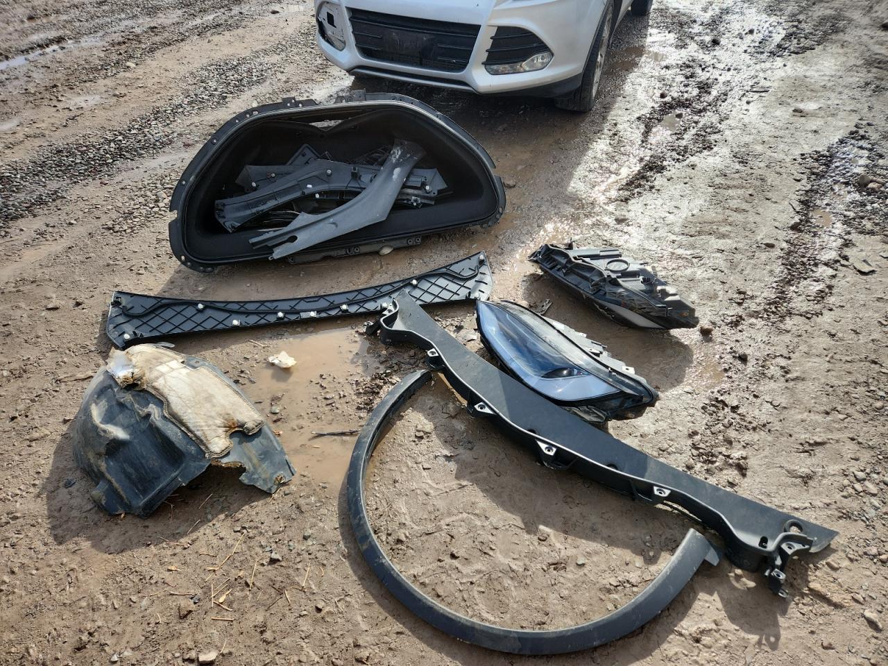 2024 Tesla Model X VIN: 7SAXCBE65RF439713 Lot: 93110265