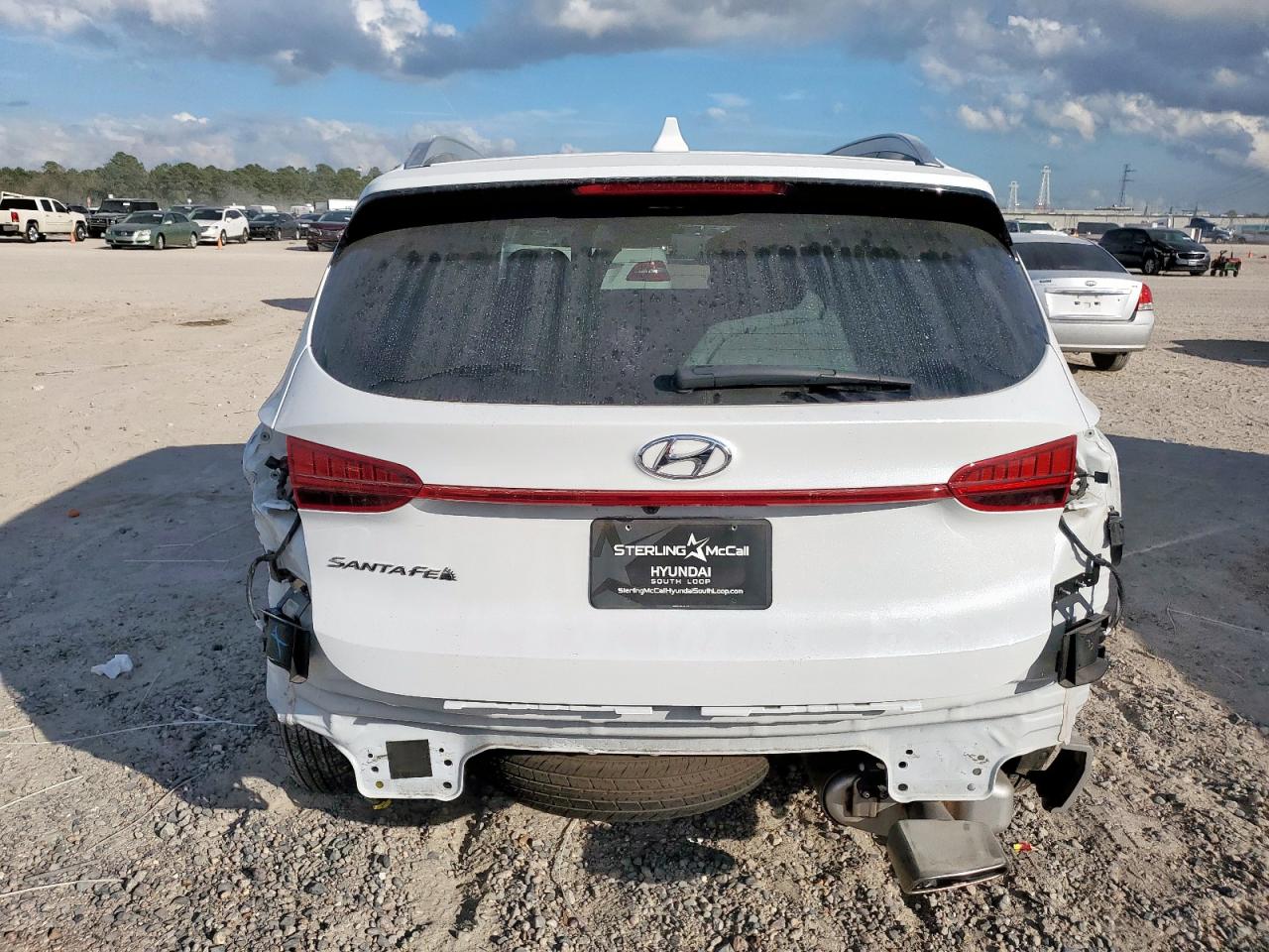 2022 Hyundai Santa Fe Sel VIN: 5NMS34AJ6NH406354 Lot: 93905005